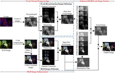 RGB/Event signal fusion framework for multi-degraded underwater image enhancement